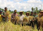 Berikan Perhatian Bagi Petani Kabupaten Keerom, Lagi Bupati Gusbager Serahkan Puluhan Alsintan Untuk Peningkatan Produktifitas Usaha Tani