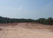 Ciptaland Babat Bakau untuk Dijadikan Perumahan di Batam.