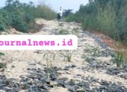 Di duga pihak inspektorat kabupaten Lampung Utara Tinggal Diam terkait dugaan Desa Cempaka