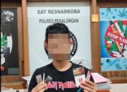 Kedapatan Bawa Ganja dan Tembakau Sintetis, Elang Diamankan Polisi