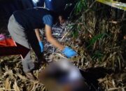 Polres Lampung Utara Evakuasi Penemuan Mayat di Rumpun Bambu Dusun 6 Cahaya Mas.