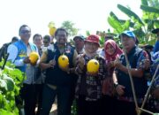 HUT ke-496 Kabupaten Indramayu, Mewujudkan Indramayu Tangguh, Ekonomi Tumbuh Menuju Ketahanan Pangan Mandiri