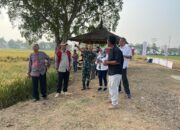 Komitmen Dandim 0620/Kab Cirebon Dalam Bidang Ketahanan Pangan