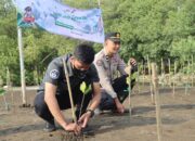 Rangkaian Hut Humas Polri Ke-72,Polres Cirebon Kota Tanam Ratusan Bibit Pohon Mangrove