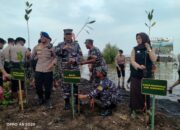 Jalin sinergitas, Pos TNI AL (Posal) Karangsong Lanal Cirebon Turut Serta Tanam Mangrove