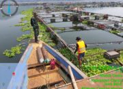 1800 Petak KJA Tidak Beroprasi Mulai Ditertibkan Satgas Citarum Harum Sektor 12