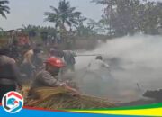 Lupa Matikan Tungku Kayu, Gudang Sapu di Paninggaran Pekalongan Terbakar