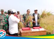 Dandim 0620/Kab Cirebon Lakulan Panen Padi Perdana di Kecamatan Kaliwedi