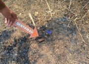 Bakar Ilalang, Warga Wonopringgo Diduga Meninggal Ikut Terbakar