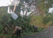 Angin Kencang di Sragi Robohkan Kandang Ayam dan Sebabkan Pohon Tumbang