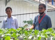 Lapas Indramayu Bersama PT. KPI Balongan Lakukan Monitoring Program Pembinaan Pertanian Hidroponik