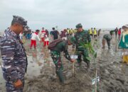 Pasiter Kodim 0620/Kabupaten Cirebon Hadiri Penanaman Mangrove Di Pesisir Laut Desa Jadimulya