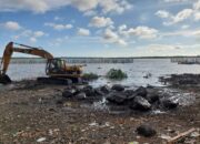 Dewan Pimpinan Daerah Himpunan Pelestari Hutan Andalan Propinsi NTB Meminta aparat penegak hukum untuk memberikan sangsi seberat beratnya kepada pelaku pengrusakan hutan mangrove di Dusun Jor Desa Jerowaru Kecamatan Jerowaru lombok timur