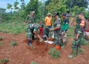 Anggota TNI Koramil 07/Cikalongkulon Bersama Warga Melakukan Penanaman Pohon
