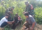 Program Penanaman Pohon Terus dilakukan Kodim 0620/Kab Cirebon Bersama Semua Unsur