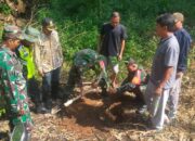 Kodim 0620/Kab Cirebon Hijaukan Bantaran Kali Citalun