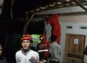 Aksi Heroik Damkar, Evakuasi Sarang Tawon Di Rumah Warga