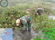 Satgas Citarum Sektor 12 Kembali Angkat Gulma Eceng Gondok Di Perairan Waduk Cirata