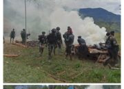 SATGAS TNI 300 SILIWANGI BANTU ACARA BAKAR BATU LAMARAN NIKAH DI TUANGGI PAPUA