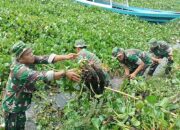 Satgas Citarum Harum Sektor 12 Subsektor 5 Ciranjang Angkat Gulma Eceng Gondok di Waduk Cirata