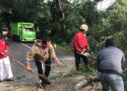 Gerak Cepat Polisi Bersama PMI Kabupaten Pekalongan dan Warga Evakuasi Pohon Tumbang