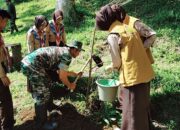 Mitigasi Bencana, Kodim 0608/Cianjur Lakukan Karbak Penanaman Pohon