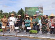 Bupati Keerom Dan Pj. Gubernur Papua Panen Cabai Bersama di Kampung Intaimelyan – Arso IX