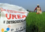 Kios Penjual Pupuk Untuk petani di Desa Pegagan kidul diduga Menjual dengan melebihi HET dan Tidak Transparan