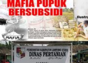 APH: Diminta Tindak Tegas Mapia Pupuk bersubsidi Di Desa Peraduan waras.