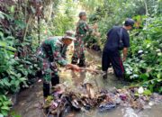 Sungai Ciraden Kembali Dibersihkan Satgas Citarum Sektor 12 Subsektor 3 Cikalongkulon
