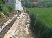 Pembangunan TPT di Desa Gembongan Menjadi Perbincangan Warga Sekitar