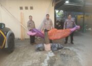 Patroli Polsek Wiradesa Amankan Balon Udara yang Siap Terbang