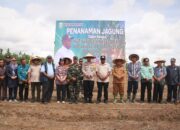 Tanam Jagung Dalam Rangka Peringatan HUT Ke-21 Kabupaten Keerom