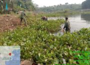Satgas Citarum Harum Sektor 12 Kembali Angkat Gulma Eceng Gondok di Dermaga Coklat