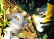 Diduga Jatuh Dari Pohon, Warga Kandangserang Ditemukan Meninggal