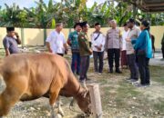 Idhul Adha 1445 H, Bupati Keerom Piter Gusbager Serahkan Bantuan 15 Ekor Hewan Kurban