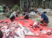 Didi Kusnadi. CV mawar fashion berbagi daging sapi qurban ke masyarakat sekitar.