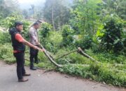 Warga Kandangserang Meninggal Dunia, Tertimpa Batang Pohon Pete yang Tumbang