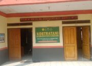 Khawatir Kembali Gagal Panen, Tanaman Padi Mang Hadi Malah Di Bandingkan Dengan Sawah Disekitarnya