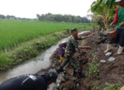 Babinsa Koramil 0620-03/Talun, Kodim 0620/Kab Cirebon, Karbak di Desa Binaannya