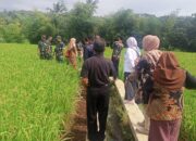 Pasiter Dim 0620/Kab Cirebon, Dampingi Staf Kementan Cek Mesin Pompa Air Pertanian