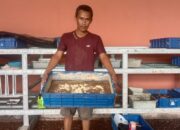 Kelola TPS3R, Seorang Warga Manfaatkan Sampah Organik Untuk Budidayakan Magot 