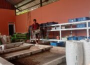 Kelola TPS3R, Seorang Warga Budidayakan Magot Untuk Atasi Pencemaran Lingkungan