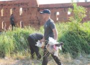 Dandim 0620/Kab.Cirebon Bersama Unsur Forkopimda Gelar Olahraga dan aksi bersih bersih 