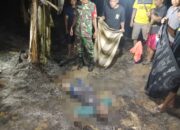 Bakar Rumput Ilalang di Sawah, Lansia Ditemukan Meninggal