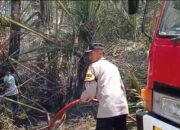 Area Tanaman Sagu Tidak Produktif di Pekalongan Terbakar, Diduga Akibat Puntung Rokok