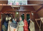 Ramah Lingkungan, Kerajinan Songket Binaan Bukit Asam (PTBA) Gunakan Pewarna Alami