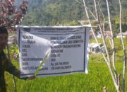 Dengan adanya pembangunan LAB Komputer, siswa- siswi SDN Parung ponteng gembira