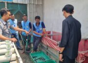 Lapas Indramayu Berikan Pelatihan Pemijahan Ikan Lele Sangkuriang Bagi Warga Binaan
