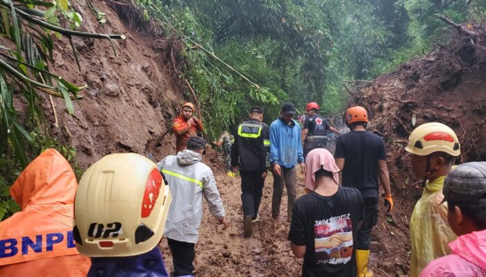 TNI-Polri Bersama Instansi Terkait Evakuasi Pohon Tumbang